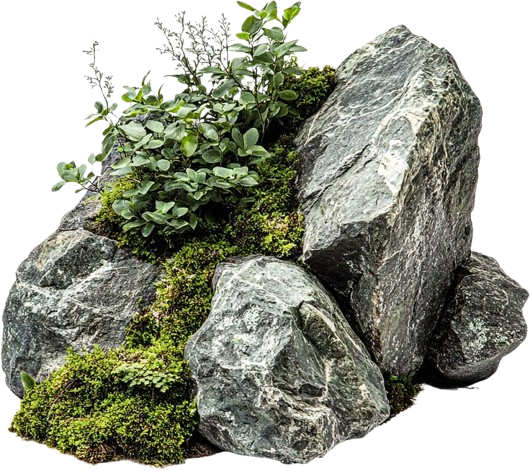 Big Rock